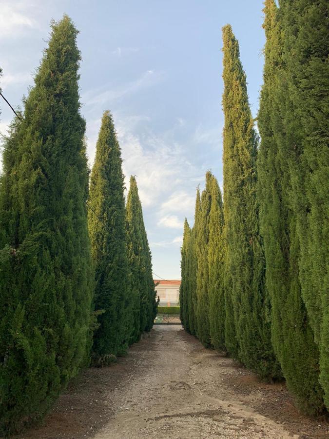 Caseria San Jose Baeza Kültér fotó