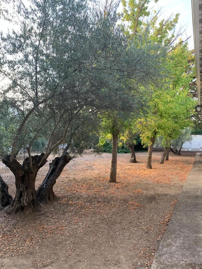 Caseria San Jose Baeza Kültér fotó